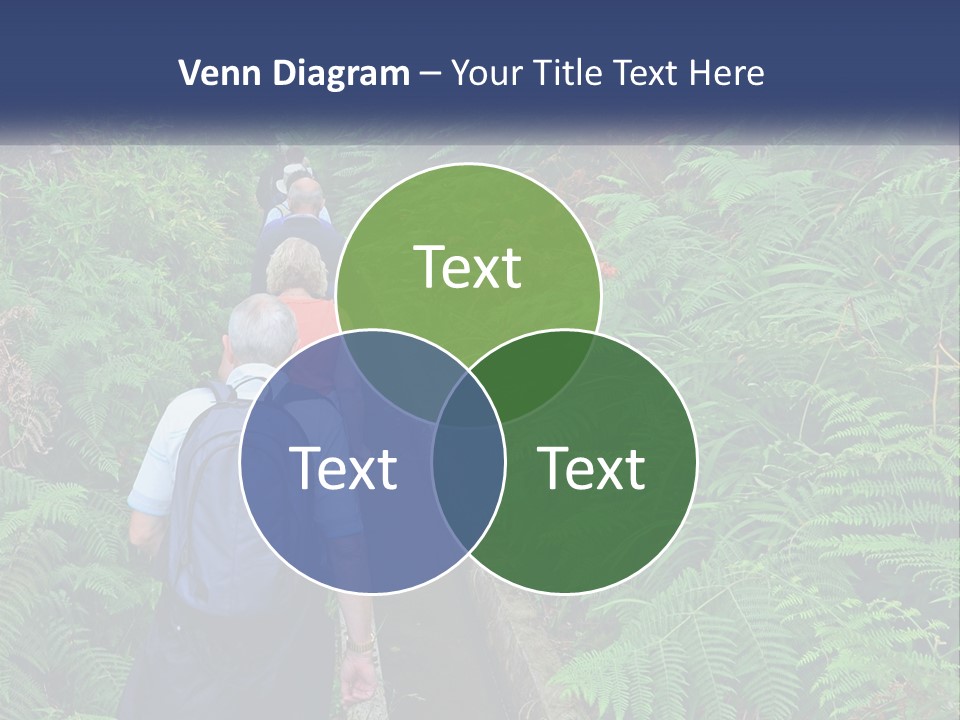 A Group Of People Walking Down A Path In The Woods PowerPoint Template