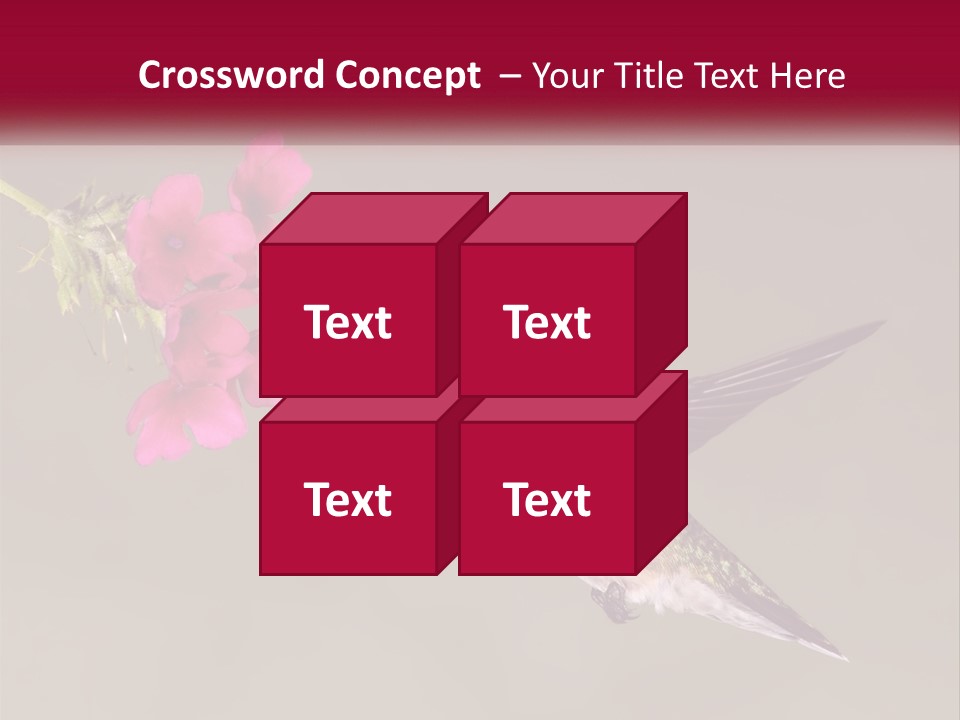 A Hummingbird In Flight With A Pink Flower In Its Beak PowerPoint Template