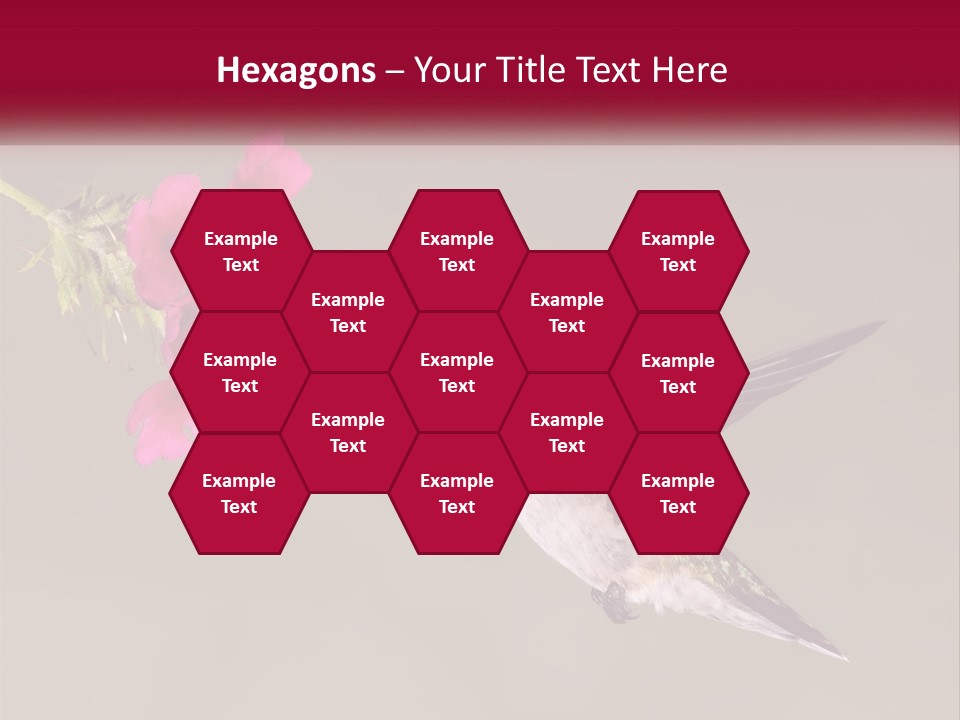 A Hummingbird In Flight With A Pink Flower In Its Beak PowerPoint Template