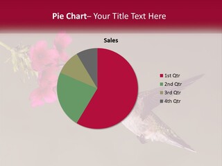 A Hummingbird In Flight With A Pink Flower In Its Beak PowerPoint Template