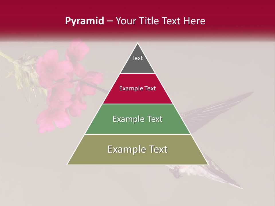 A Hummingbird In Flight With A Pink Flower In Its Beak PowerPoint Template