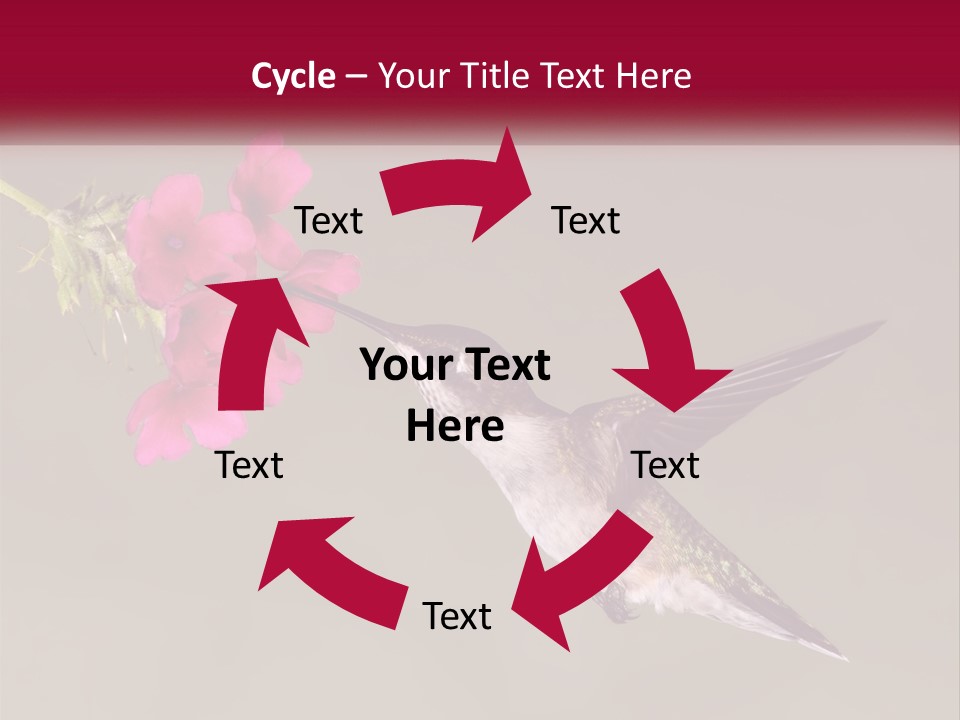 A Hummingbird In Flight With A Pink Flower In Its Beak PowerPoint Template