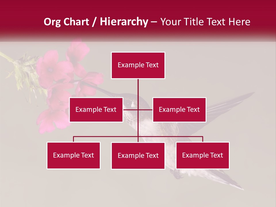 A Hummingbird In Flight With A Pink Flower In Its Beak PowerPoint Template