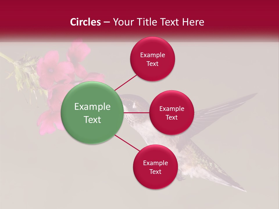 A Hummingbird In Flight With A Pink Flower In Its Beak PowerPoint Template