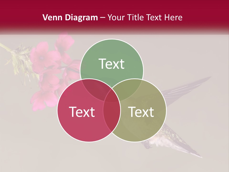 A Hummingbird In Flight With A Pink Flower In Its Beak PowerPoint Template