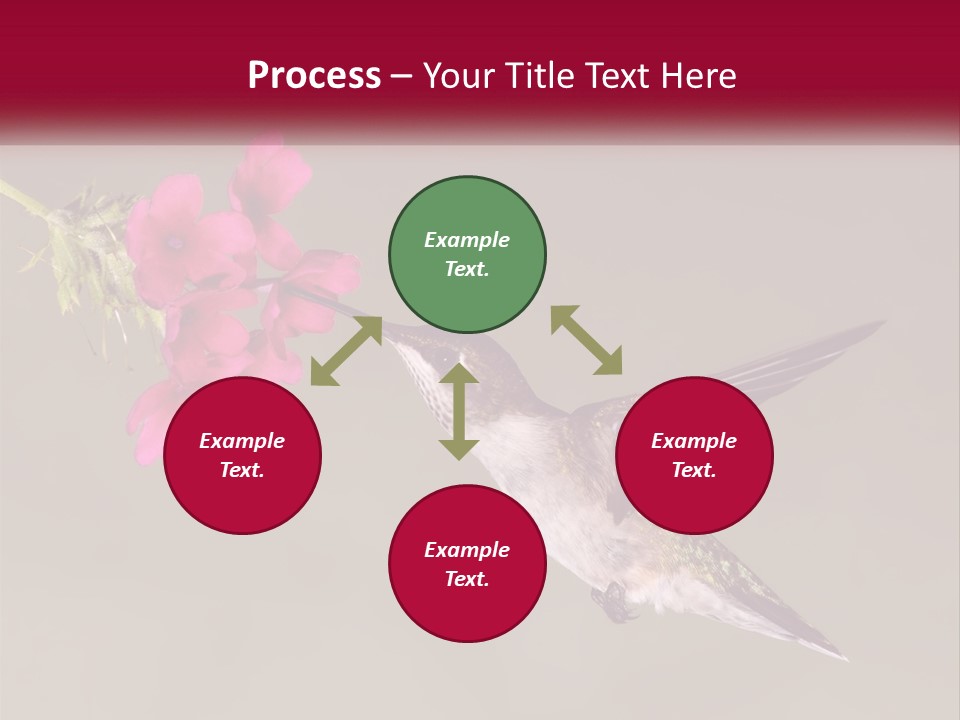 A Hummingbird In Flight With A Pink Flower In Its Beak PowerPoint Template