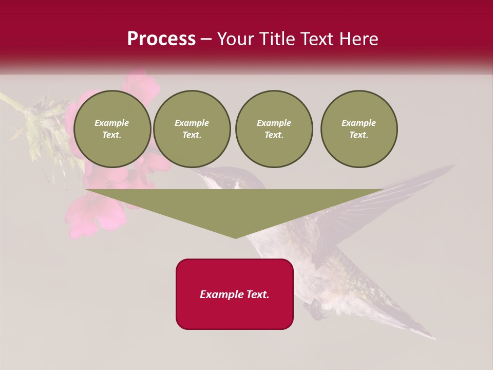 A Hummingbird In Flight With A Pink Flower In Its Beak PowerPoint Template