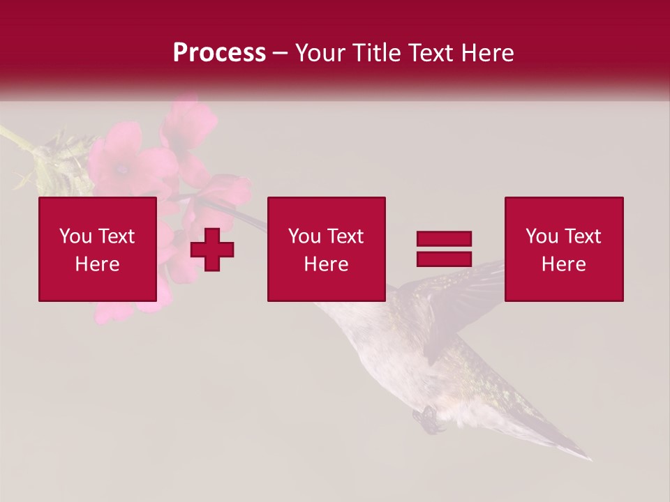A Hummingbird In Flight With A Pink Flower In Its Beak PowerPoint Template