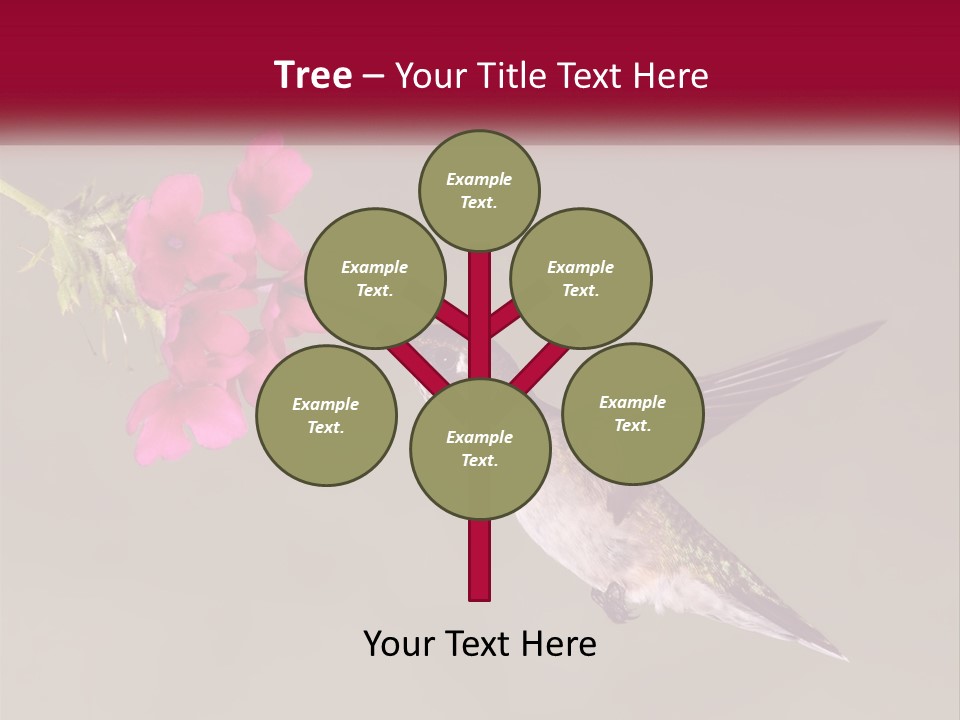 A Hummingbird In Flight With A Pink Flower In Its Beak PowerPoint Template