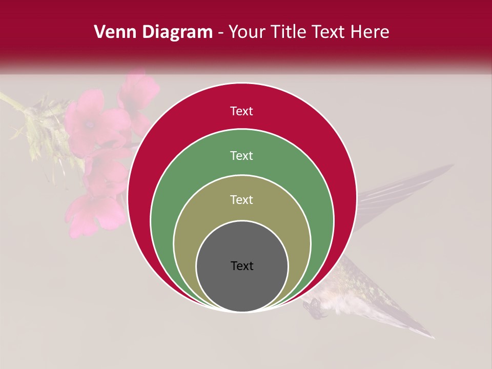 A Hummingbird In Flight With A Pink Flower In Its Beak PowerPoint Template