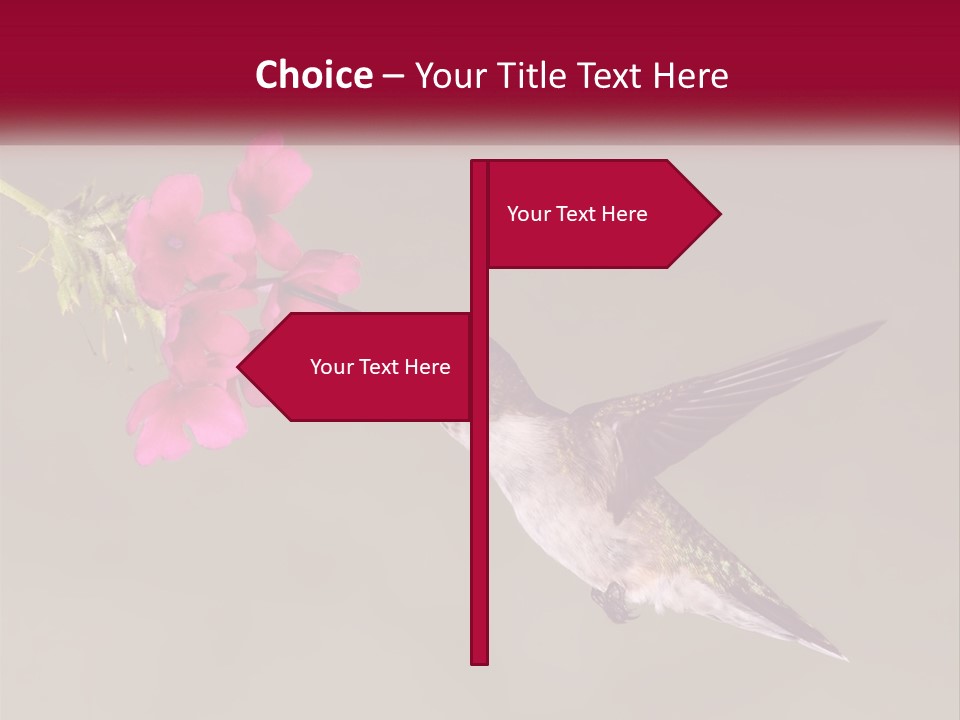 A Hummingbird In Flight With A Pink Flower In Its Beak PowerPoint Template