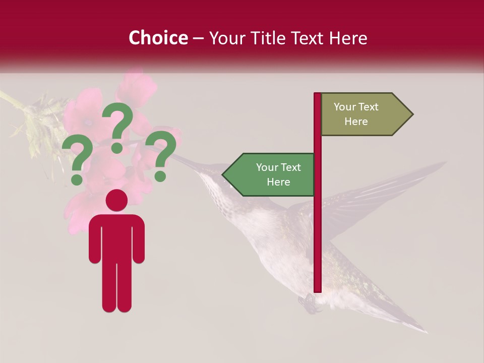 A Hummingbird In Flight With A Pink Flower In Its Beak PowerPoint Template