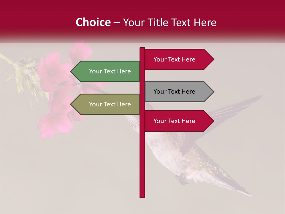 A Hummingbird In Flight With A Pink Flower In Its Beak PowerPoint Template