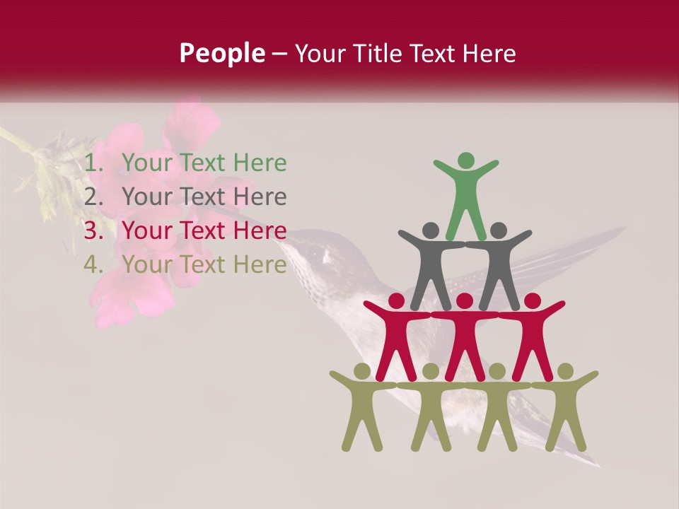 A Hummingbird In Flight With A Pink Flower In Its Beak PowerPoint Template