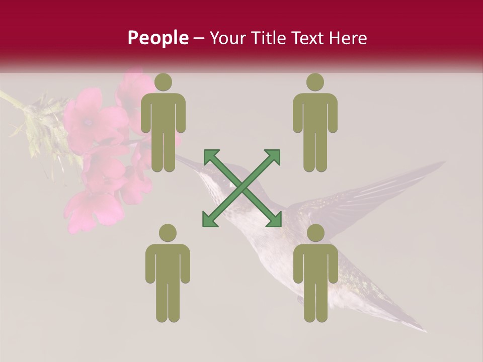 A Hummingbird In Flight With A Pink Flower In Its Beak PowerPoint Template