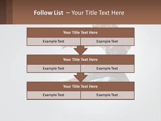 A Woman Jumping In The Air With A Backpack On Her Back PowerPoint Template