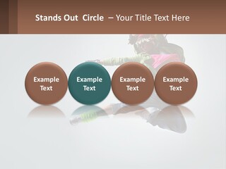 A Woman Jumping In The Air With A Backpack On Her Back PowerPoint Template