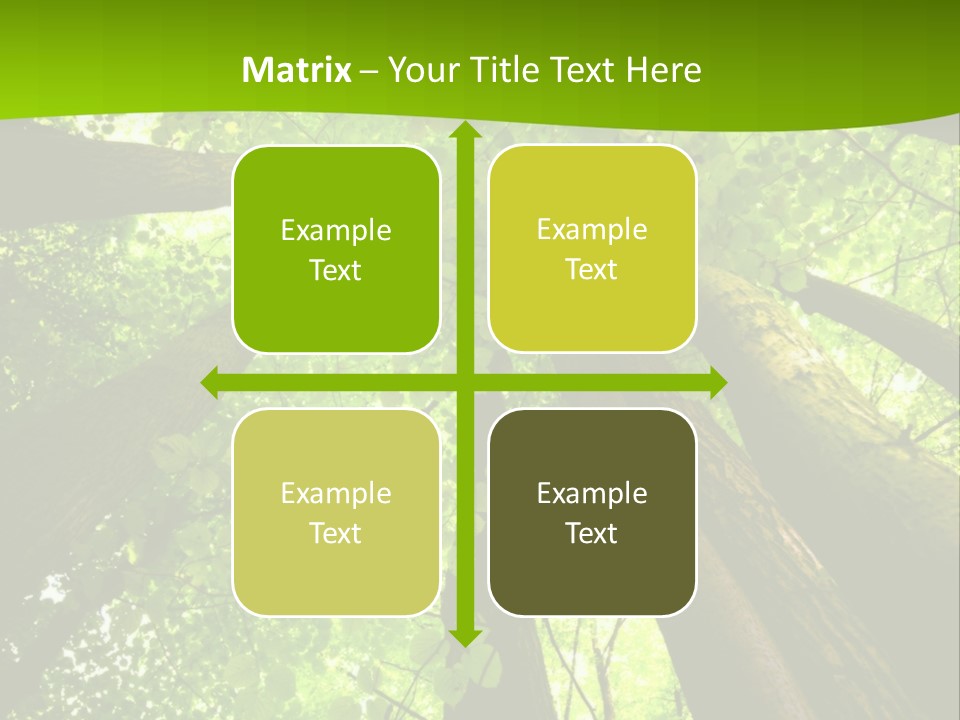 A Green Forest Powerpoint Presentation Template PowerPoint Template