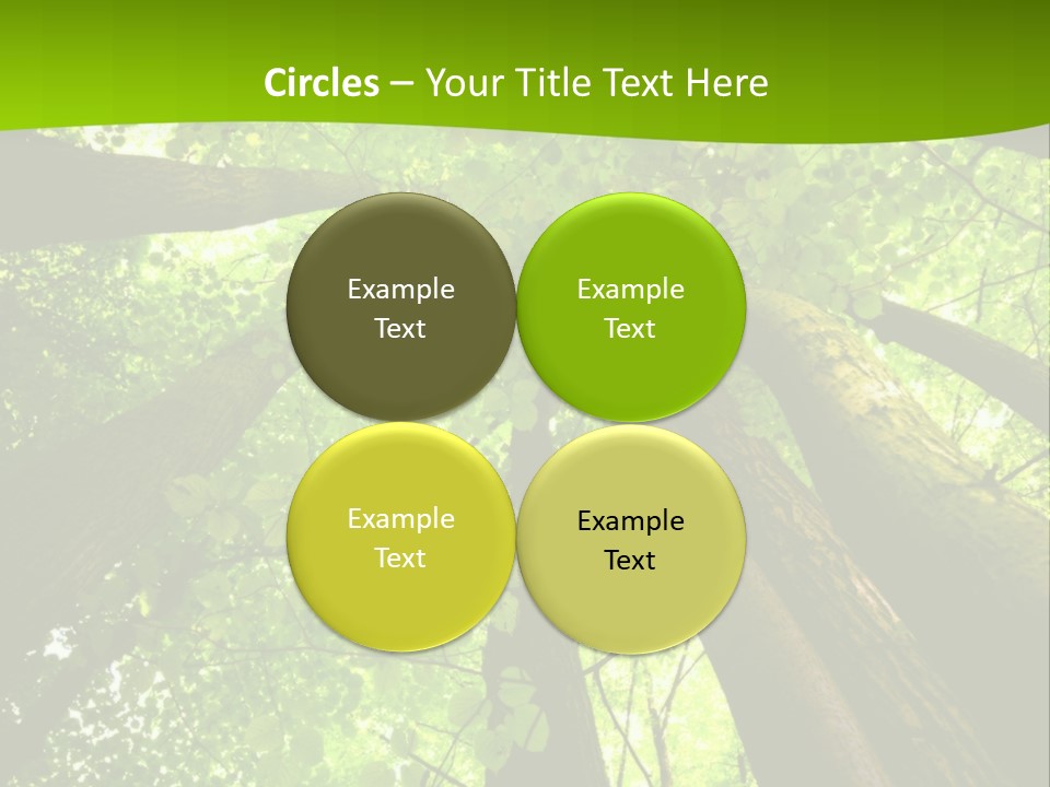 A Green Forest Powerpoint Presentation Template PowerPoint Template