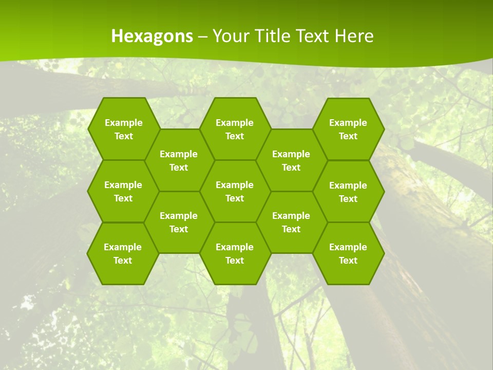 A Green Forest Powerpoint Presentation Template PowerPoint Template