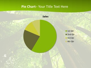 A Green Forest Powerpoint Presentation Template PowerPoint Template