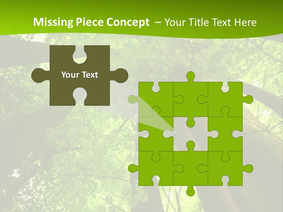 A Green Forest Powerpoint Presentation Template PowerPoint Template