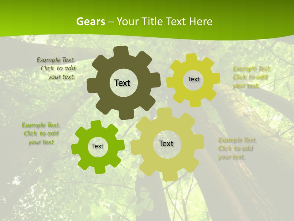 A Green Forest Powerpoint Presentation Template PowerPoint Template