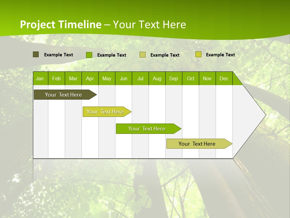A Green Forest Powerpoint Presentation Template PowerPoint Template