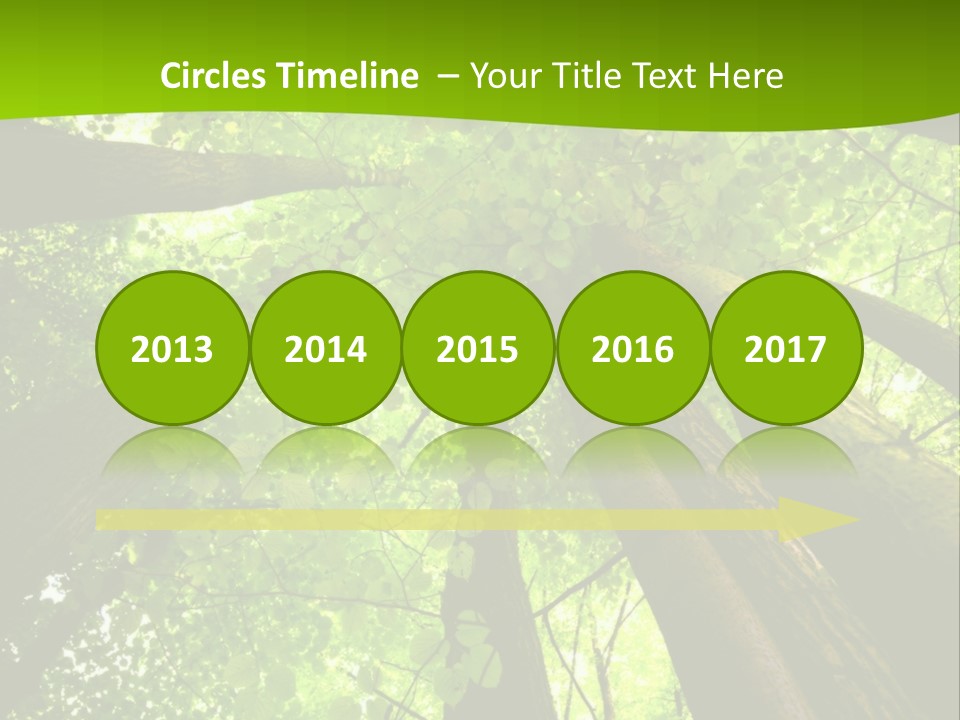 A Green Forest Powerpoint Presentation Template PowerPoint Template