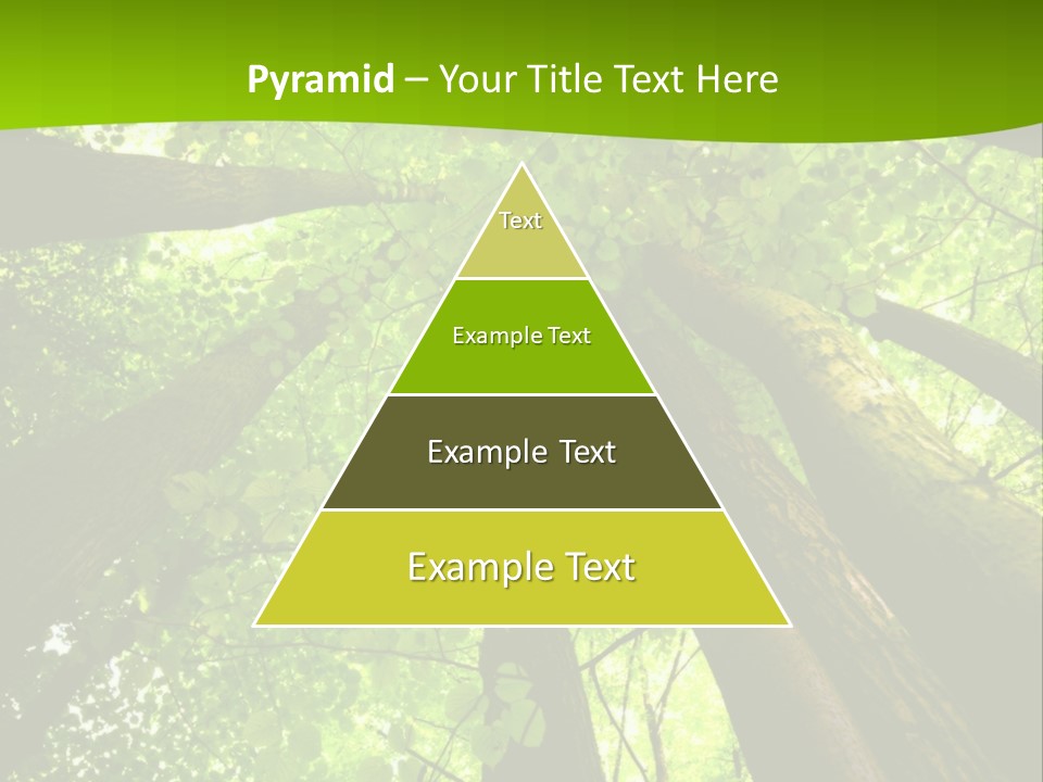A Green Forest Powerpoint Presentation Template PowerPoint Template