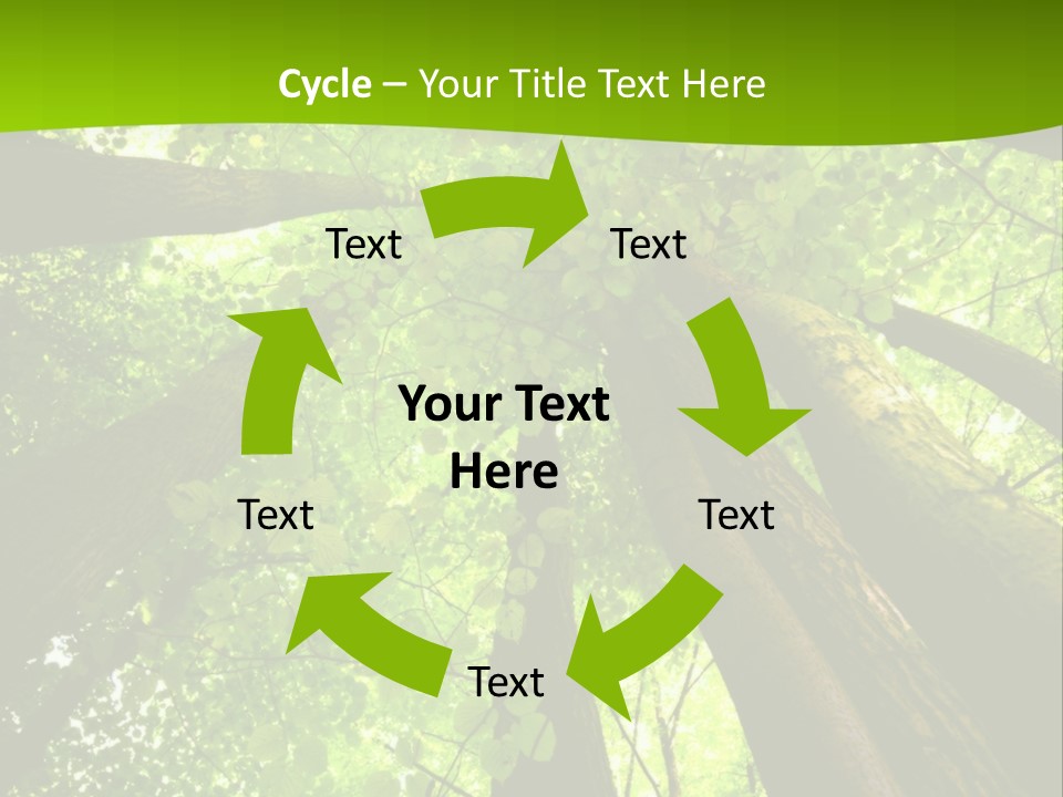 A Green Forest Powerpoint Presentation Template PowerPoint Template