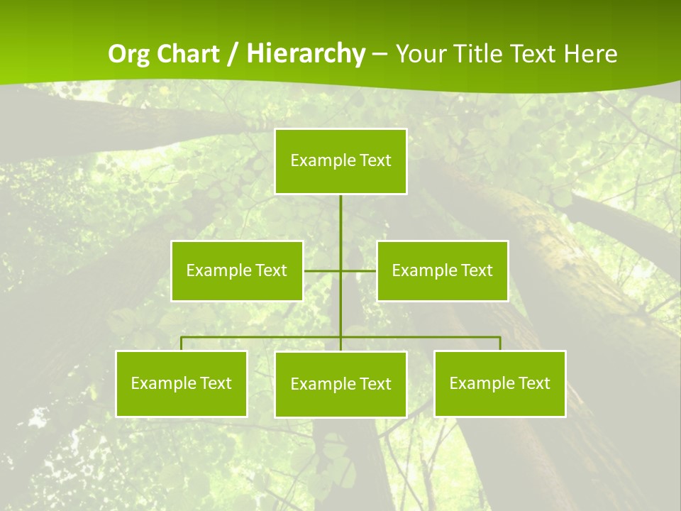 A Green Forest Powerpoint Presentation Template PowerPoint Template