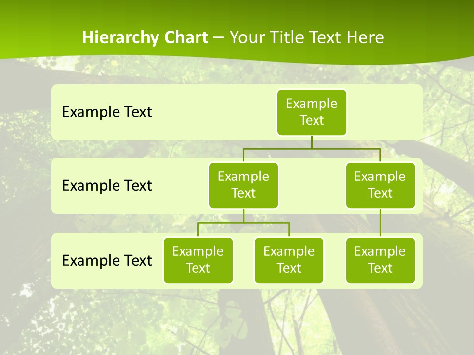 A Green Forest Powerpoint Presentation Template PowerPoint Template