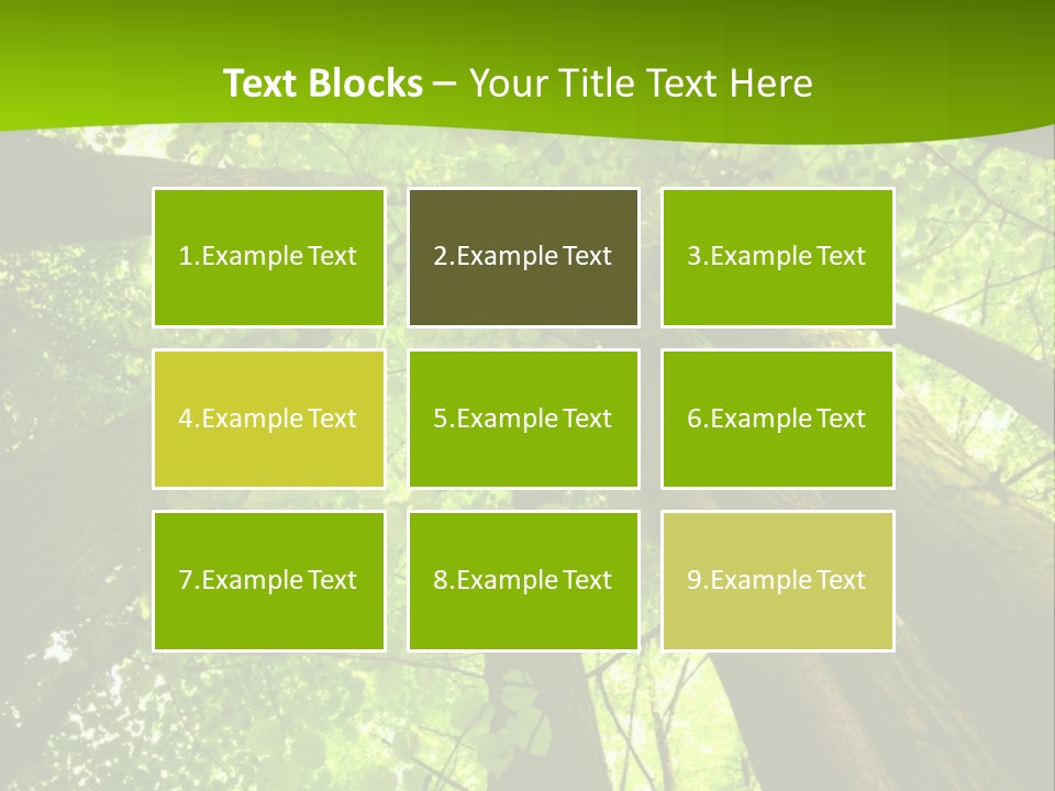 A Green Forest Powerpoint Presentation Template PowerPoint Template