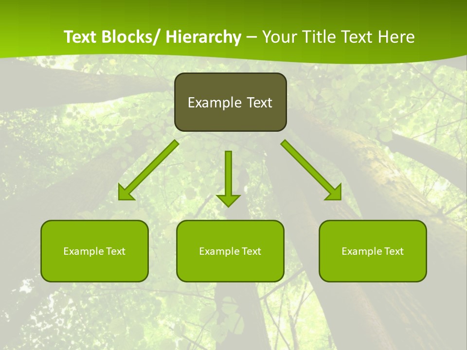 A Green Forest Powerpoint Presentation Template PowerPoint Template
