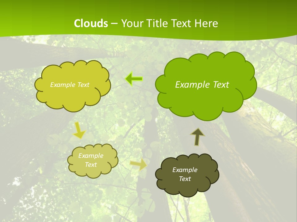A Green Forest Powerpoint Presentation Template PowerPoint Template
