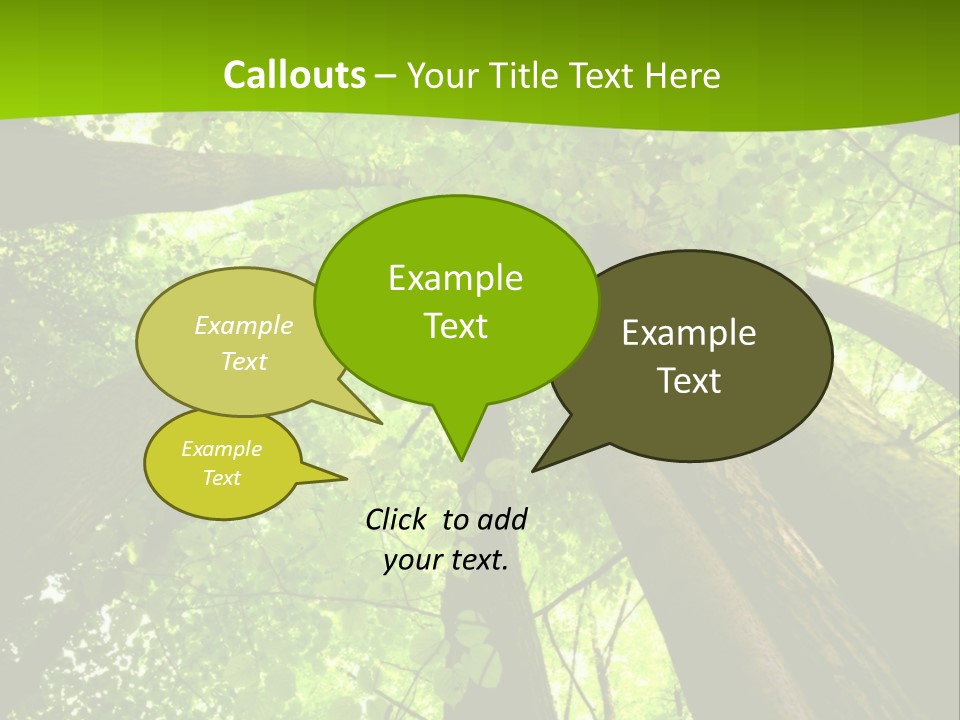 A Green Forest Powerpoint Presentation Template PowerPoint Template