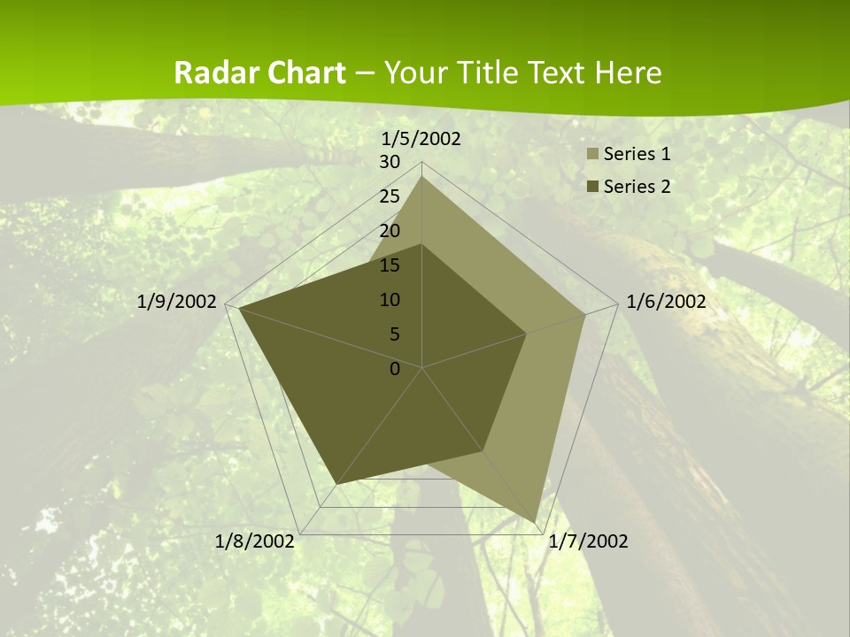 A Green Forest Powerpoint Presentation Template PowerPoint Template