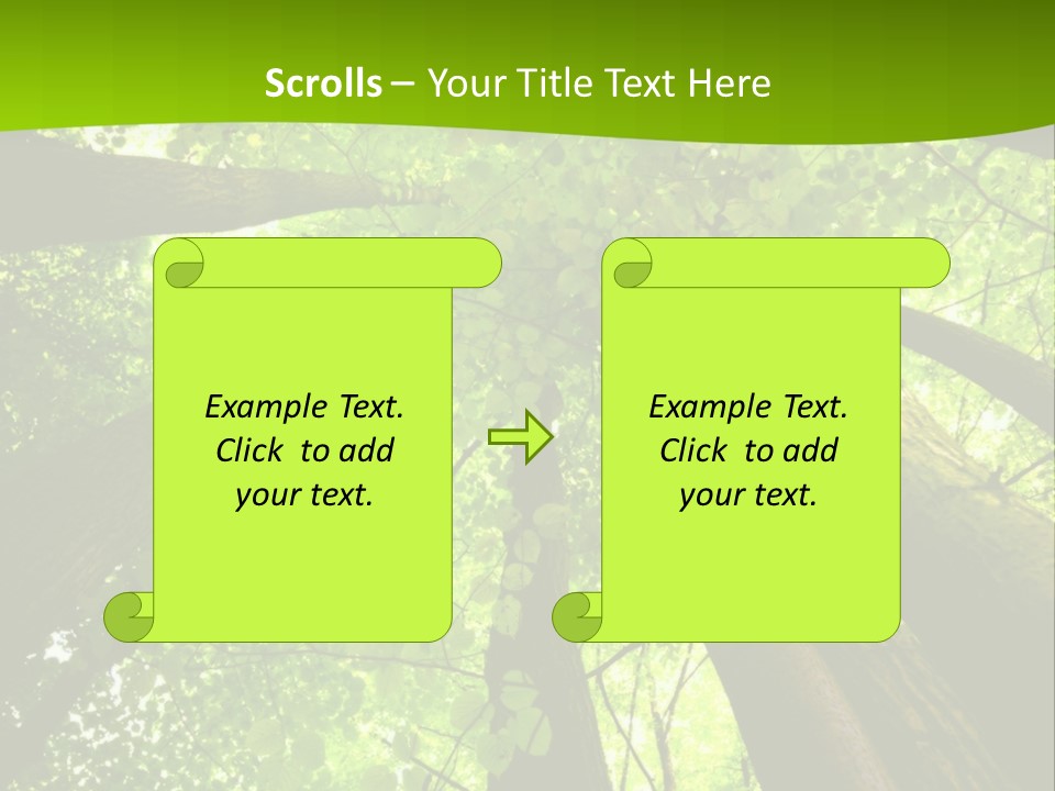 A Green Forest Powerpoint Presentation Template PowerPoint Template