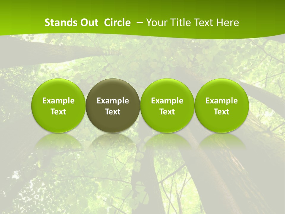 A Green Forest Powerpoint Presentation Template PowerPoint Template