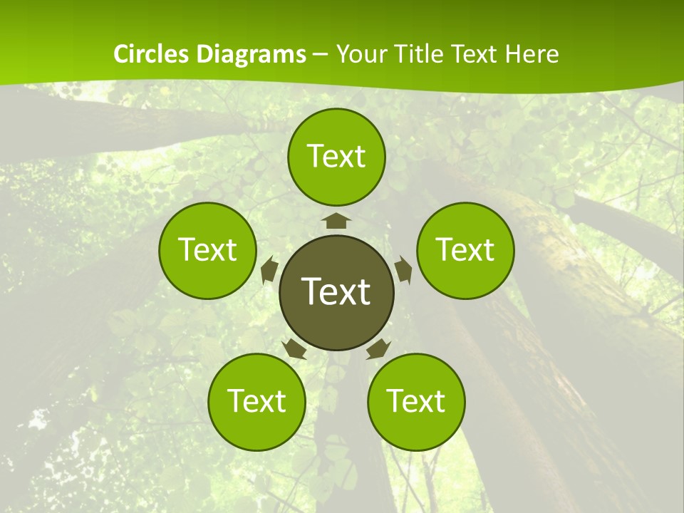 A Green Forest Powerpoint Presentation Template PowerPoint Template