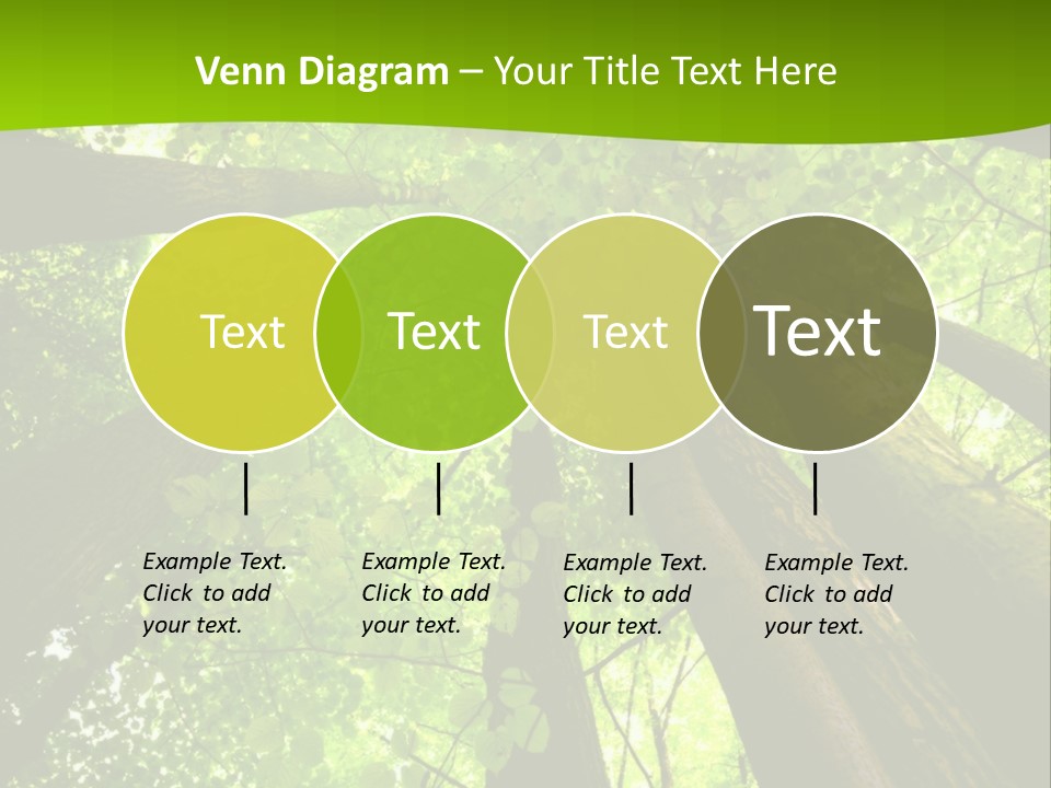 A Green Forest Powerpoint Presentation Template PowerPoint Template