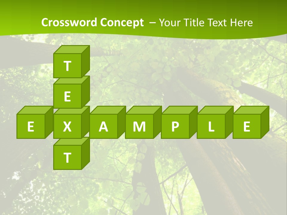 A Green Forest Powerpoint Presentation Template PowerPoint Template