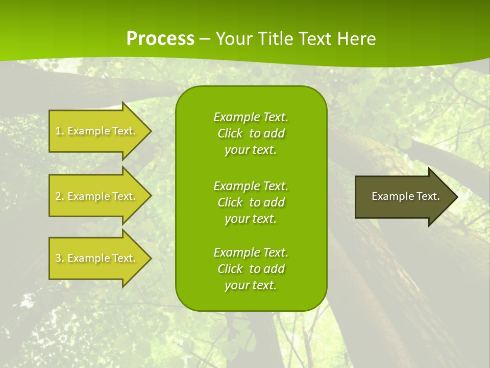 A Green Forest Powerpoint Presentation Template PowerPoint Template