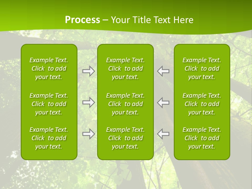 A Green Forest Powerpoint Presentation Template PowerPoint Template