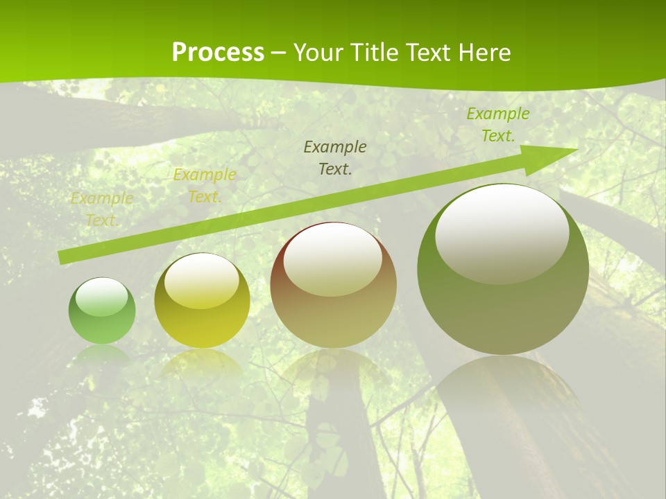 A Green Forest Powerpoint Presentation Template PowerPoint Template