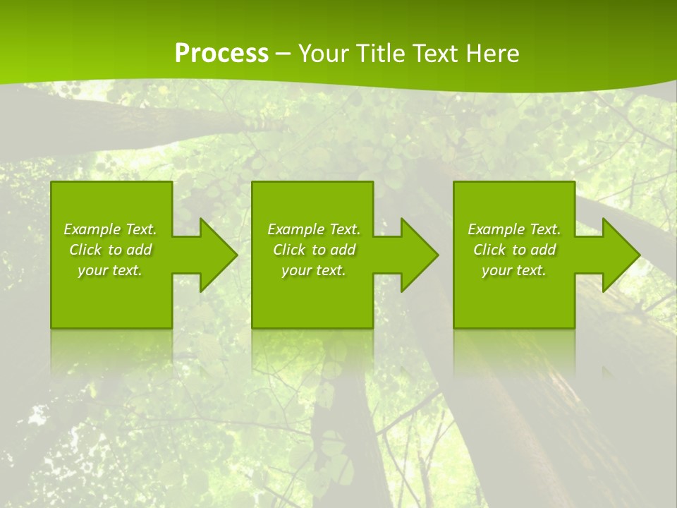 A Green Forest Powerpoint Presentation Template PowerPoint Template