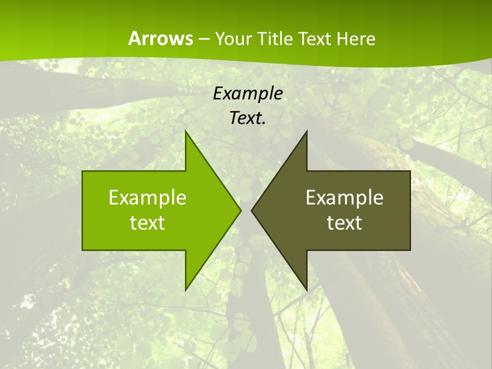 A Green Forest Powerpoint Presentation Template PowerPoint Template