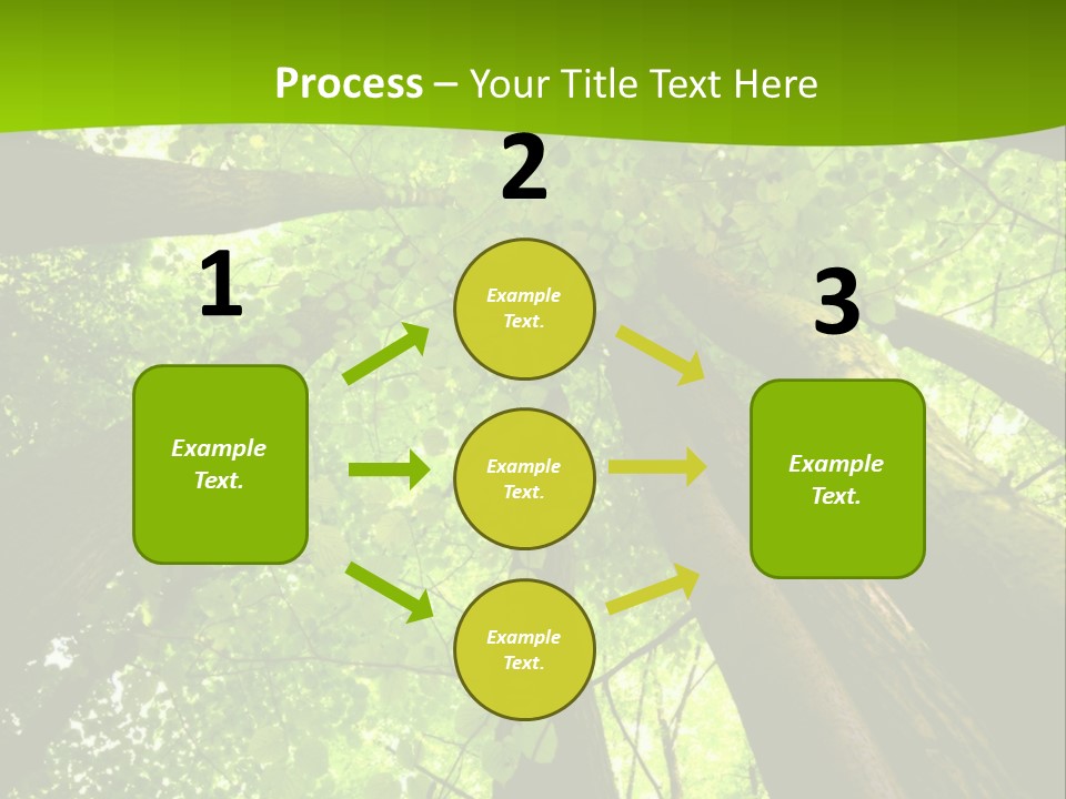 A Green Forest Powerpoint Presentation Template PowerPoint Template