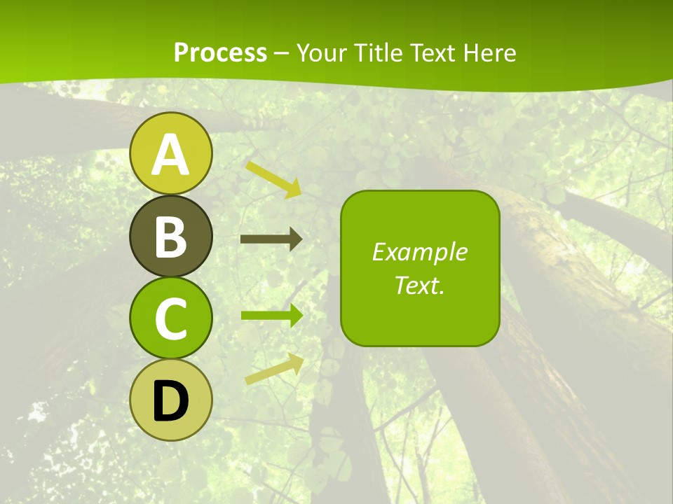 A Green Forest Powerpoint Presentation Template PowerPoint Template